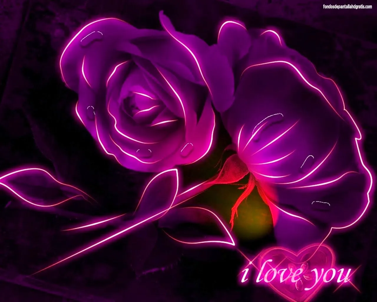 Rosas con brillo - flores hermosas, lindas, hermosas, imagenes ... Rosas con brillo - flores hermosas, lindas, hermosas, imagenes ...