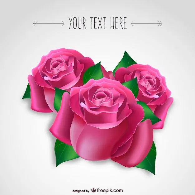 Rosas de color rosa | Descargar Vectores gratis