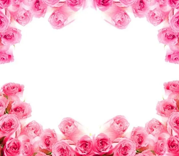 rosas de color rosa de imagen | Descargar Fotos gratis rosas de color rosa de imagen | Descargar Fotos gratis