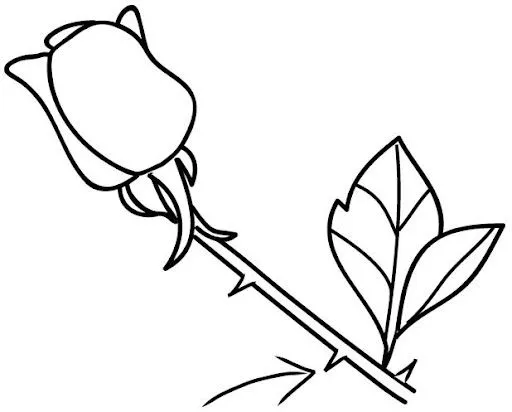 Imagenes de rosas para dibujar con espinas - Imagui