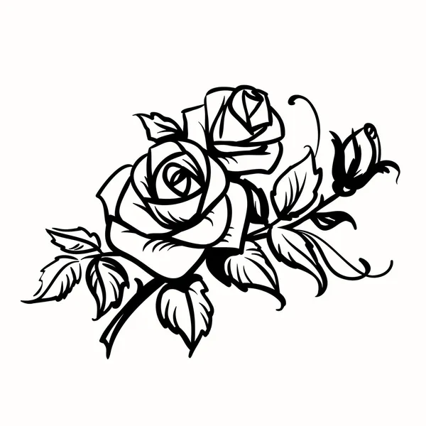 Rosas. croquis negro sobre fondo blanco — Vector stock © prezent ... Rosas. croquis negro sobre fondo blanco — Vector stock © prezent ...