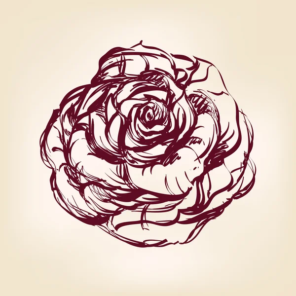 rosas dibujadas a mano — Vector stock © VladisChern #20355605 rosas dibujadas a mano — Vector stock © VladisChern #20355605