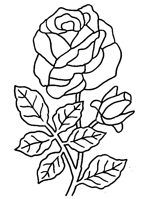 Mejores dibujos de rosas y flores - Imagui