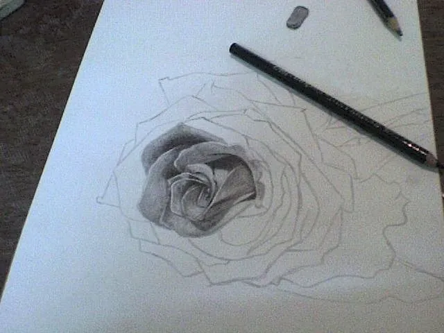Recien terminado (Dibujo de rosa a lápiz) - Taringa!
