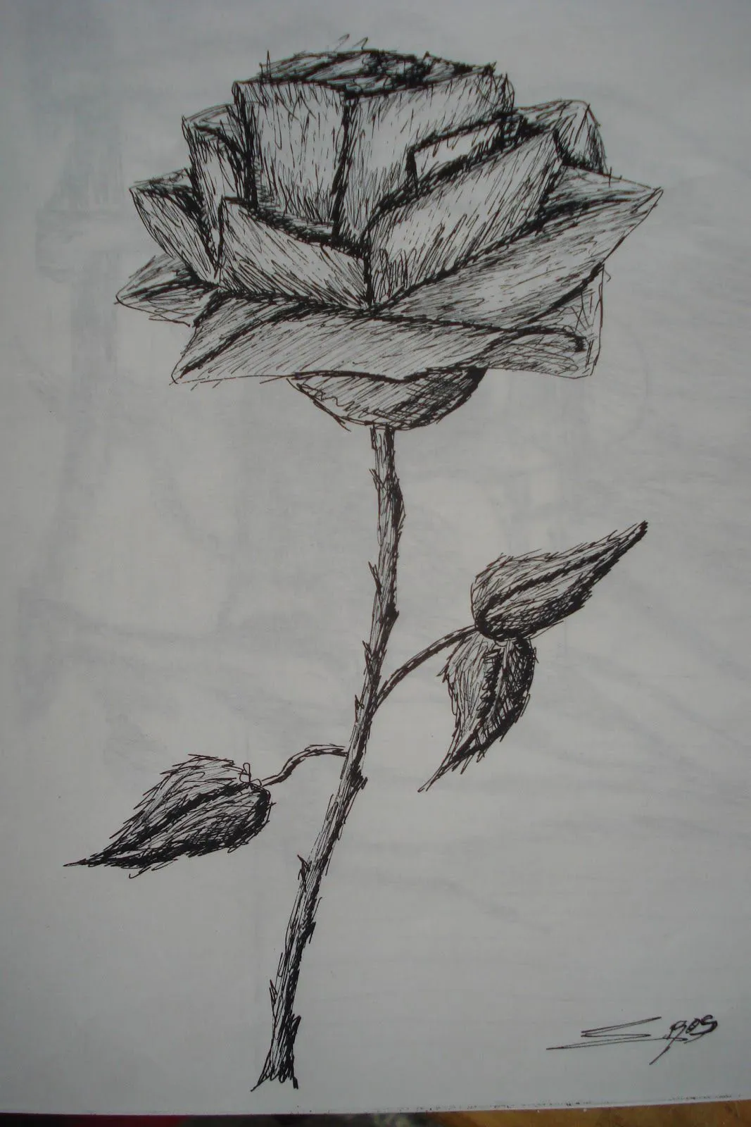 Rosas (dibujos) - Taringa!