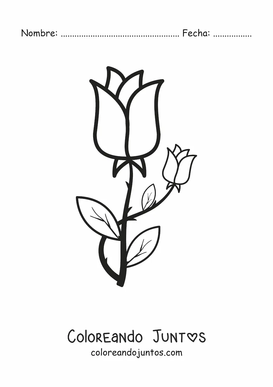 Rosas con espinas | Coloreando Juntos