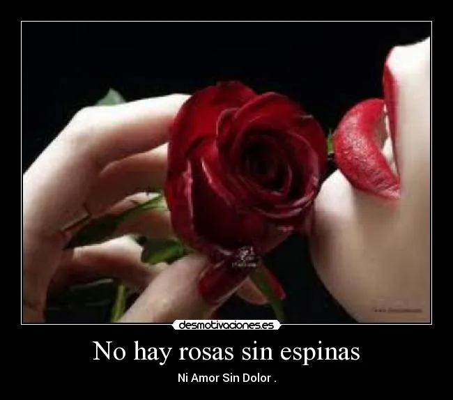No hay rosas sin espinas | Desmotivaciones