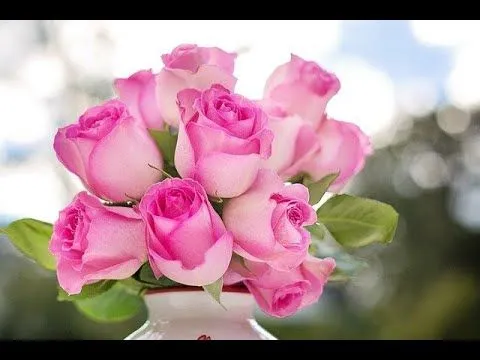 De las Rosas y Flores mas Hermosas "_Preciosa Criatura_Joan S ...