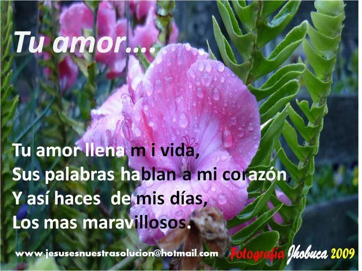 ROSAS Y FLORES - CON MENSAJES CRISTIANOS | Tarjetas, postales ... ROSAS Y FLORES - CON MENSAJES CRISTIANOS | Tarjetas, postales ...