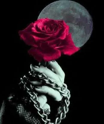 rosas goticas