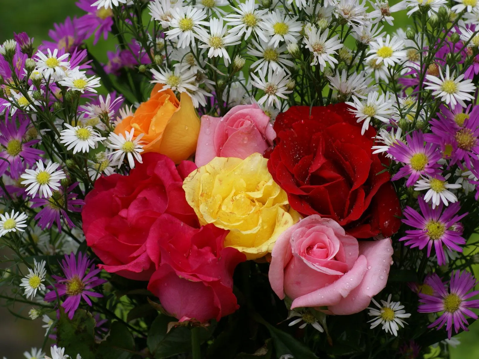 Rosas hermosas de amor - Imagui