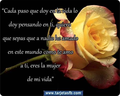 Tarjetas de rosas hermosas - Imagui