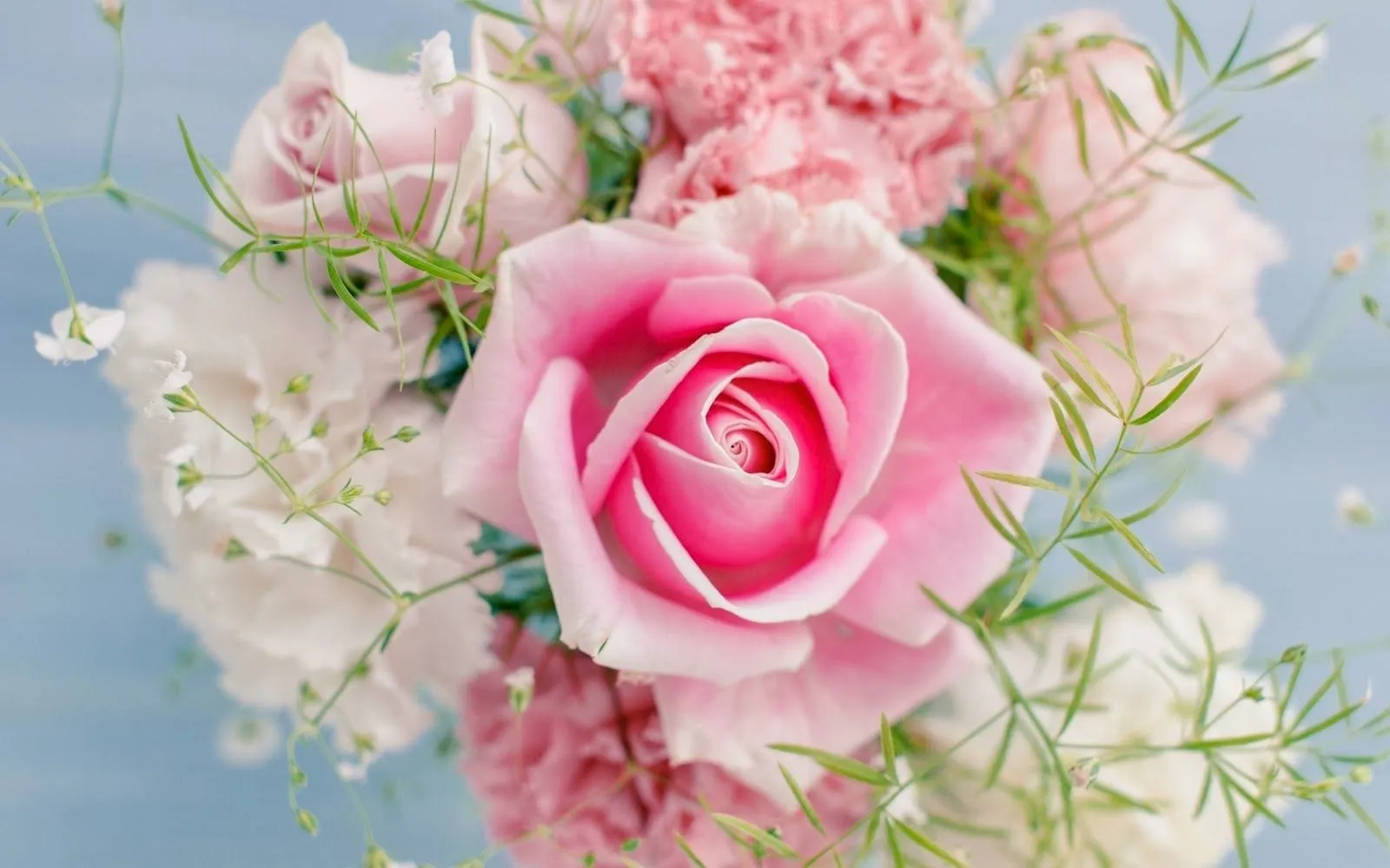 Rosas, hortensias, girasoles | Fotos Bonitas de Amor | Imágenes ... Rosas, hortensias, girasoles | Fotos Bonitas de Amor | Imágenes ...
