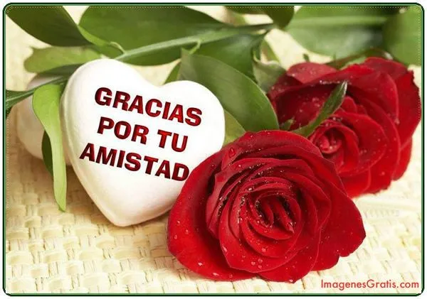 Rosas - Imágenes para Compartir (Página 12) - ImagenesCool