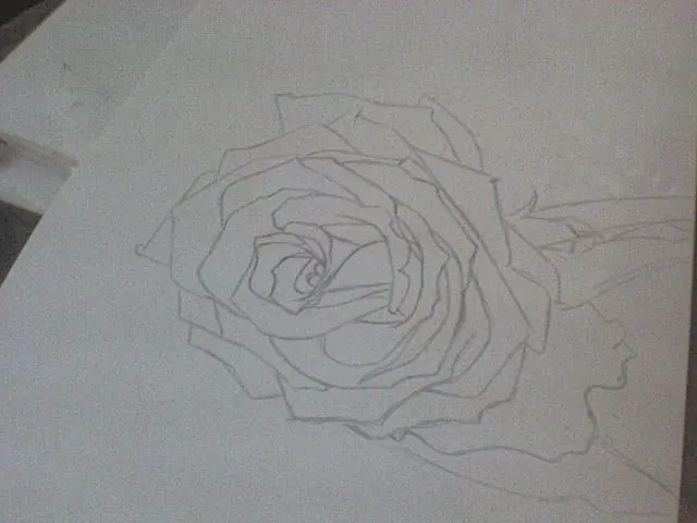 Recien terminado (Dibujo de rosa a lápiz) - Taringa! Recien terminado (Dibujo de rosa a lápiz) - Taringa!