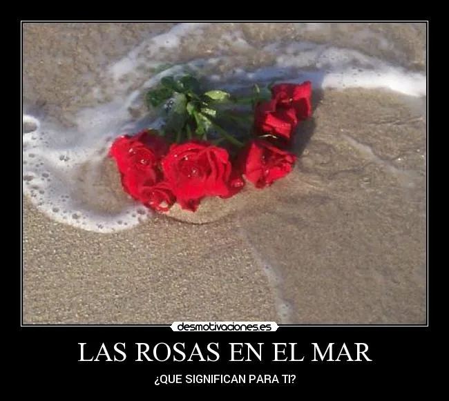 LAS ROSAS EN EL MAR | Desmotivaciones