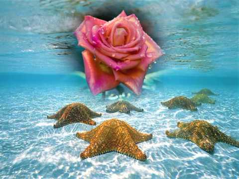 ROSAS EN EL MAR - YouTube