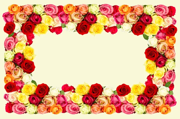 rosas. marco de flores de colores — Foto stock © LiliGraphie #13428155