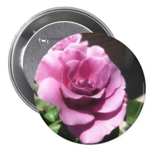 Rosas Moradas 1 Pins de Zazzle.