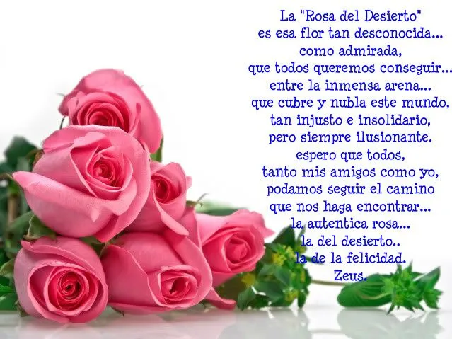 Rosas para una mujer hermosa - Imagui