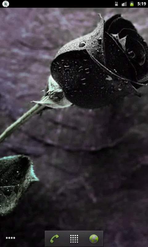 Rosas Negras - Aplicaciones Android en Google Play Rosas Negras - Aplicaciones Android en Google Play