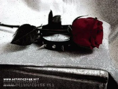 Rosas negras goticas - Imagui