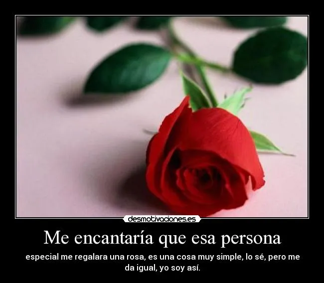 Rosas rojas y blancas con frases de amor - Imagui Rosas rojas y blancas con frases de amor - Imagui