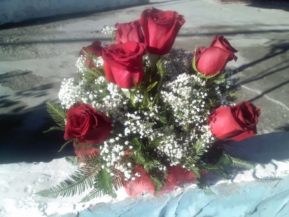 ROSAS ROJAS « CamionChileno.