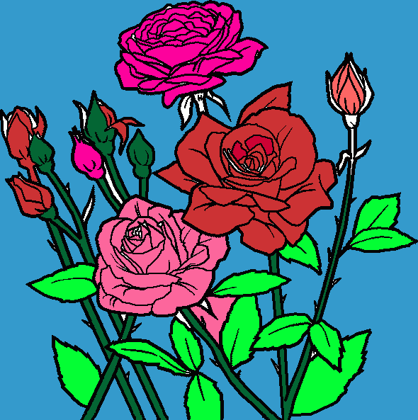 rosas-rojas_1276960532_img.gif
