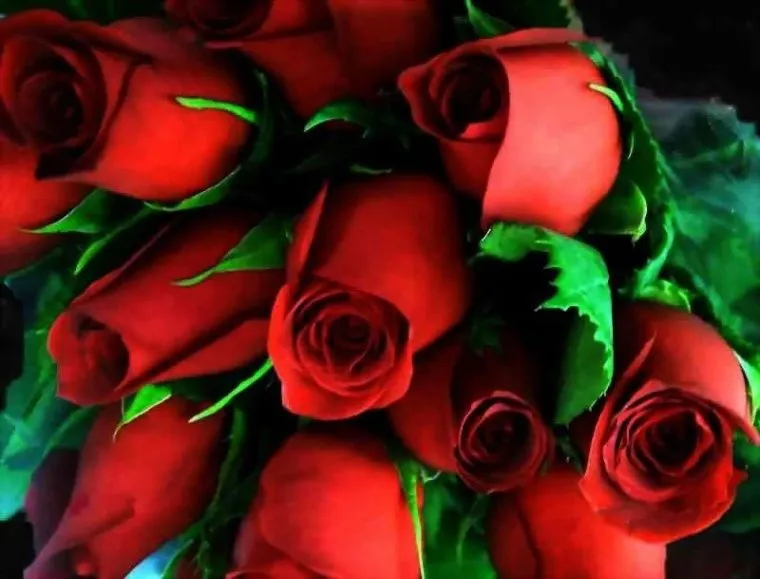Rosas rojas.