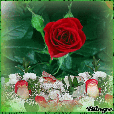 ROSAS ROJAS Fotografía #126995569 | Blingee. ROSAS ROJAS Fotografía #126995569 | Blingee.