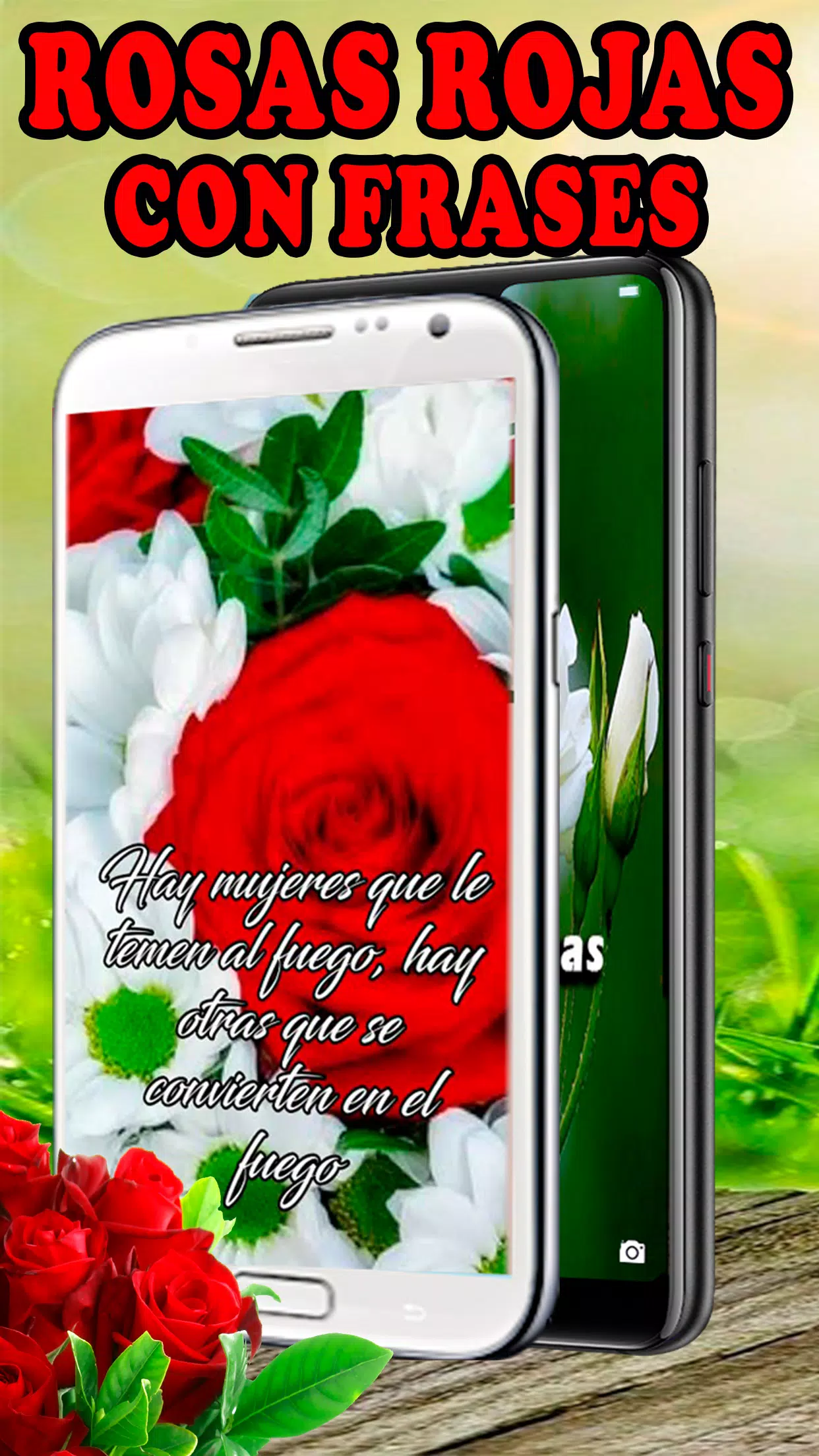 Rosas Rojas Hermosas Flores APK for Android Download Rosas Rojas Hermosas Flores APK for Android Download