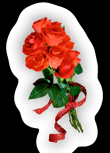 Rosas rojas png - Imagui