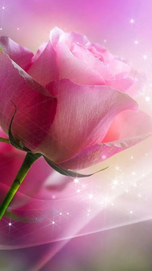 Rosas rosadas Fondo Animado - Aplicaciones Android en Google Play Rosas rosadas Fondo Animado - Aplicaciones Android en Google Play