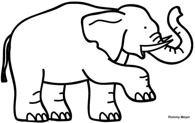 Rostro de elefante para colorear - Imagui