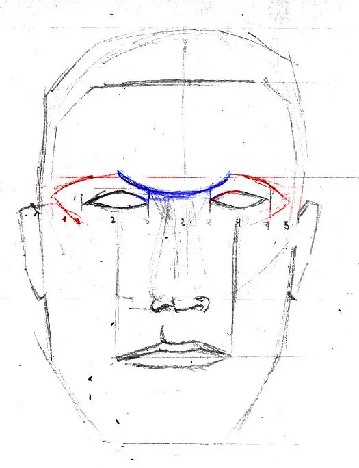 EL ROSTRO HUMANO- VISTA FRONTAL | CARBON ENTINTADO EL ROSTRO HUMANO- VISTA FRONTAL | CARBON ENTINTADO