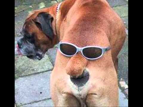 los rostros mas graciosos de la interned - YouTube los rostros mas graciosos de la interned - YouTube