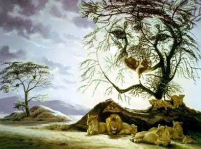 Rostros de leones - Imagui
