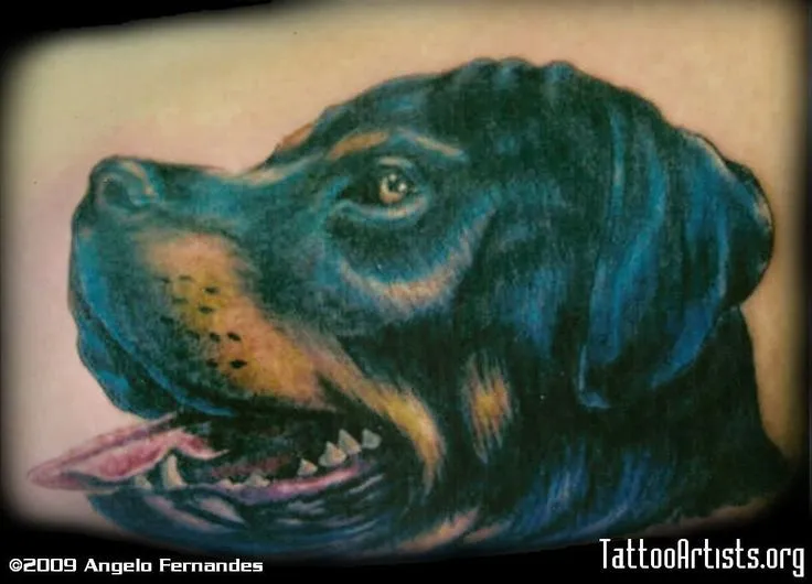Rottweiler tattoo | Tattoo ideas | Dog | Pinterest
