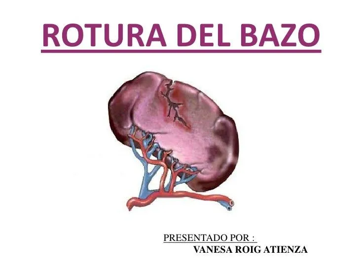 Rotura Del Bazo