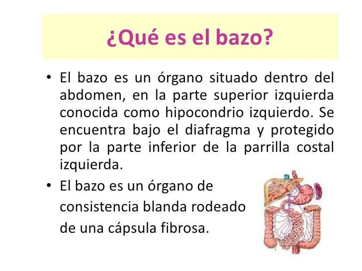 rotura-del-bazo-2-728.jpg?cb= ...