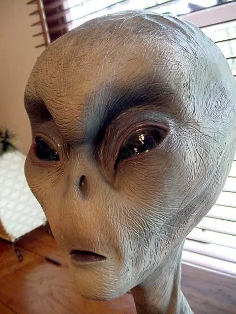 Rourich: ¿Cómo son los extraterrestres? .... Gigantes,enanos ...