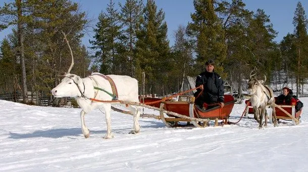 Rovaniemi - Catai Tours