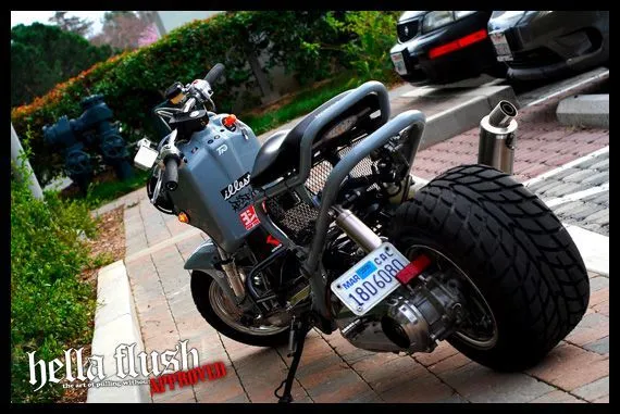 Ruckus scooter customized | Bobbers y modificadas | Pinterest ...
