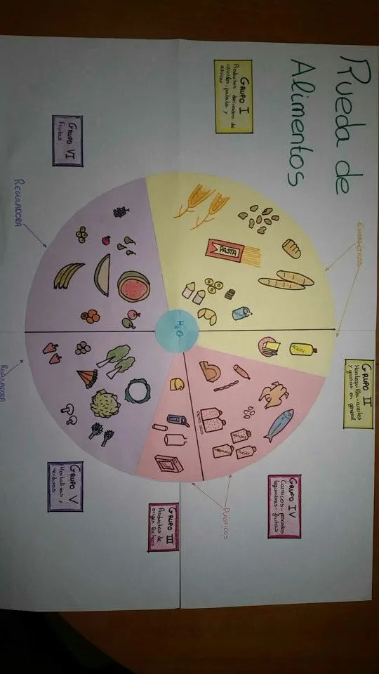 Rueda de los alimentos | Alimentos, Ciencias de la naturaleza, Ruedas Rueda de los alimentos | Alimentos, Ciencias de la naturaleza, Ruedas