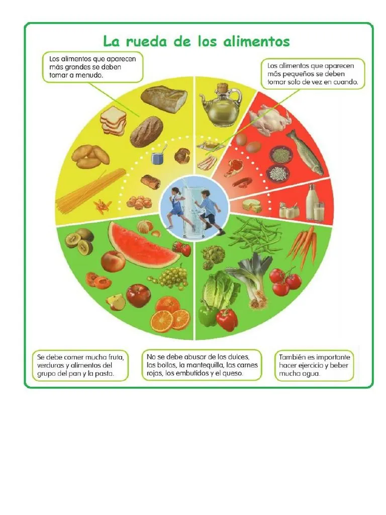 Rueda Alimentos | PDF
