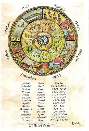 Rueda Celta. Calendario Arboreo . | WiccaTerranostra