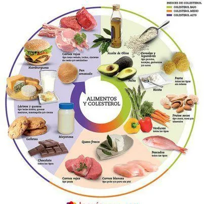 Rueda Saludable. | Alimentación sana | Pinterest | Shops and Html Rueda Saludable. | Alimentación sana | Pinterest | Shops and Html