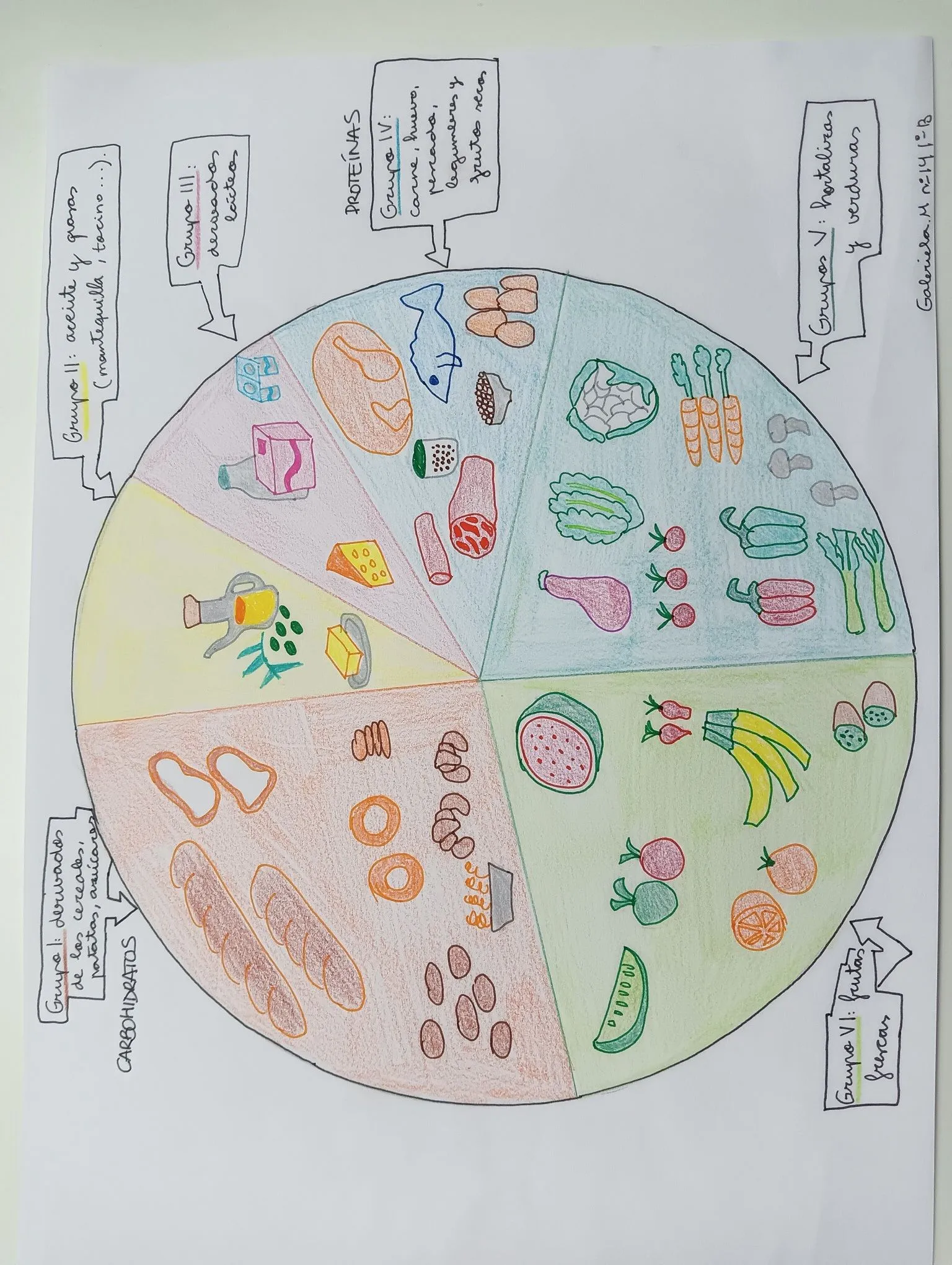 RUEDAS DE LOS ALIMENTOS - Blog de deportes del Colegio Mater RUEDAS DE LOS ALIMENTOS - Blog de deportes del Colegio Mater