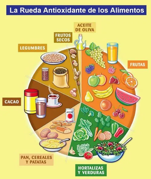 RUEDAS DE LOS ALIMENTOS - Blog de deportes del Colegio Mater RUEDAS DE LOS ALIMENTOS - Blog de deportes del Colegio Mater